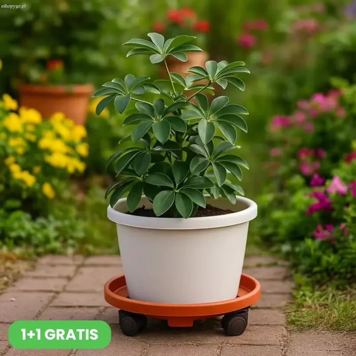 Stojak na rośliny z kółkami do roślin domowych PLANTMOVE 1+1 GRATIS